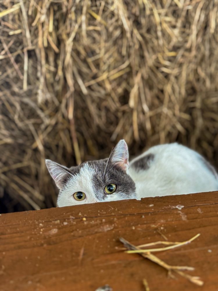 Photograph by Ольга Имамкулиева