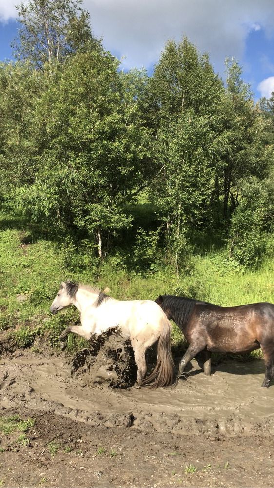 Photograph by Ирина Барышева