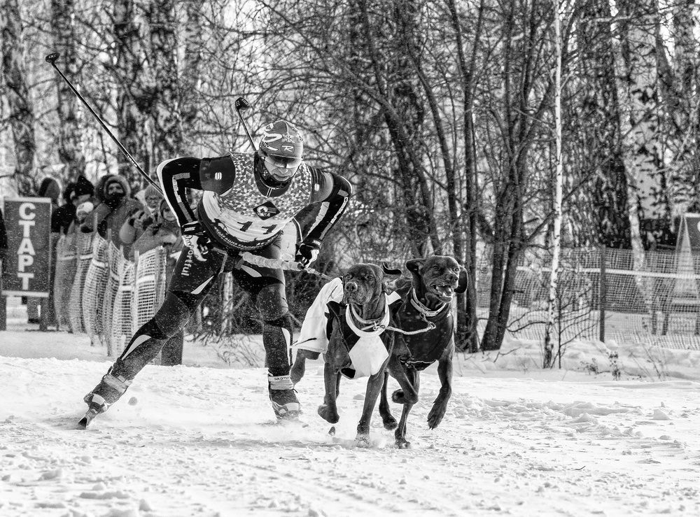 Photograph by Елена Павлова