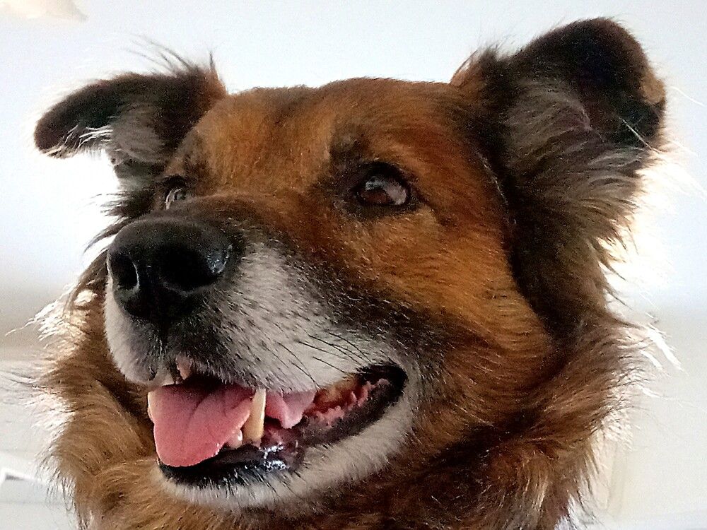 Photograph by Сергей Рапопорт