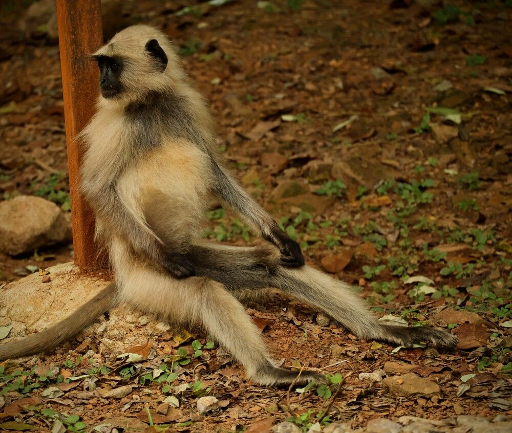 Photograph by Soumya Ranjan Padhi