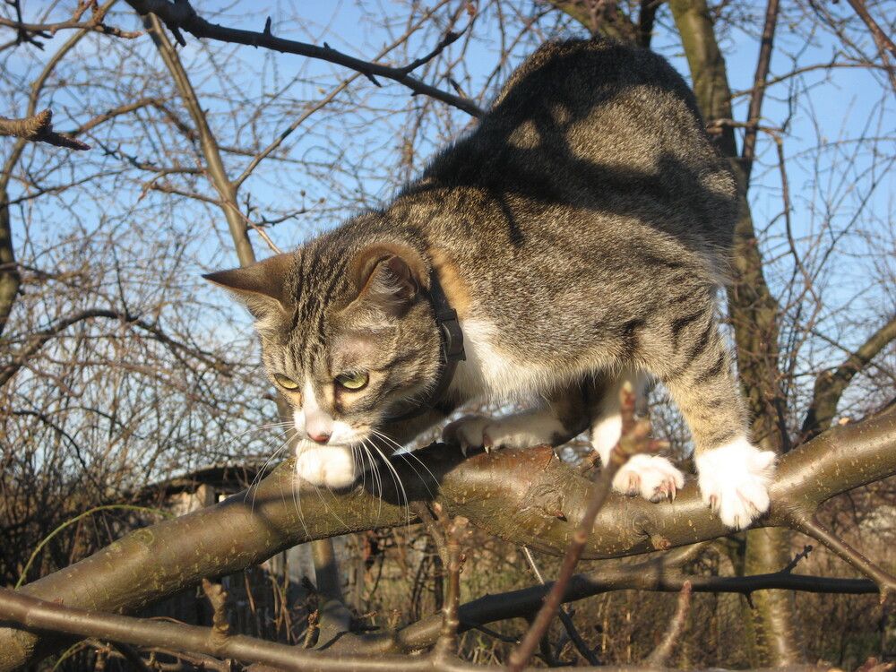 Photograph by Олена Бокова