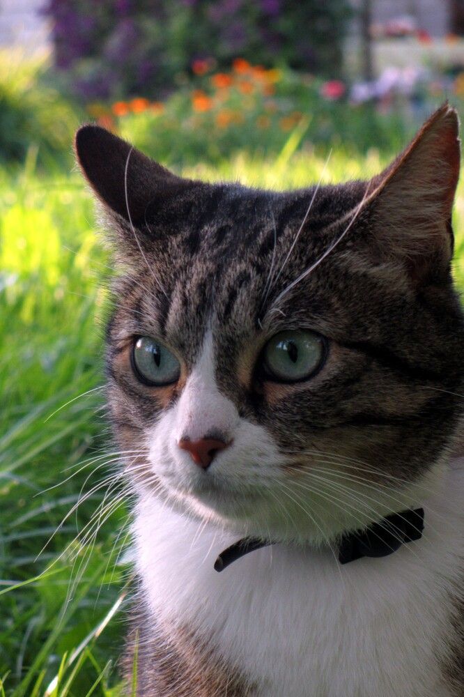 Photograph by Олена Бокова