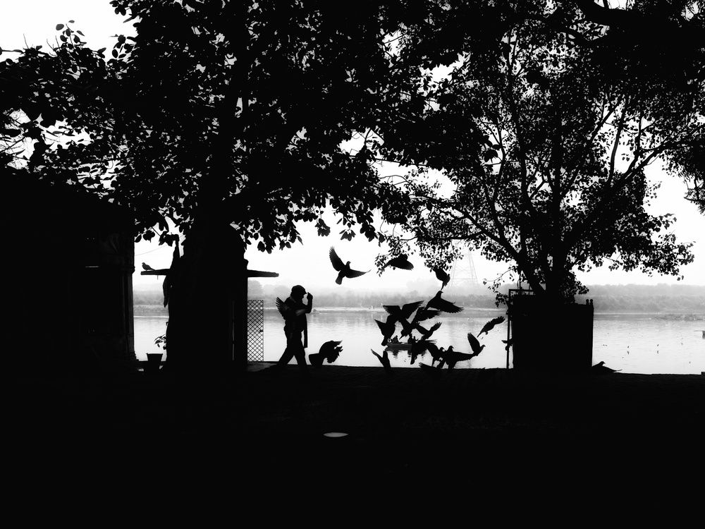 Photograph by HARSHIT MISHRA