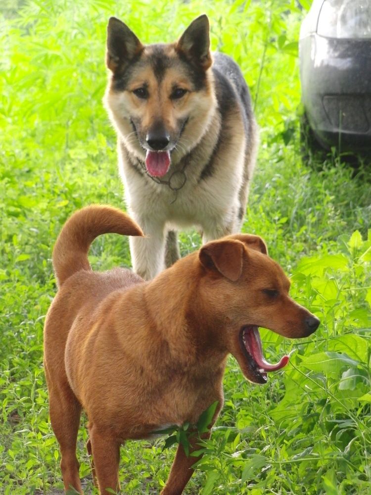 Photograph by Вадим Богатиков