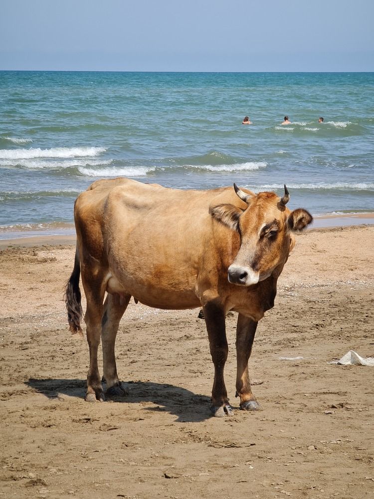 Photograph by Вадим Богатиков