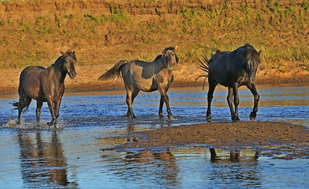 Фотография автора Юрий Кетель