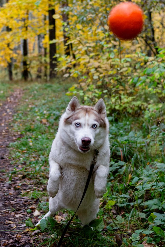 Photograph by Юлия Коноплина
