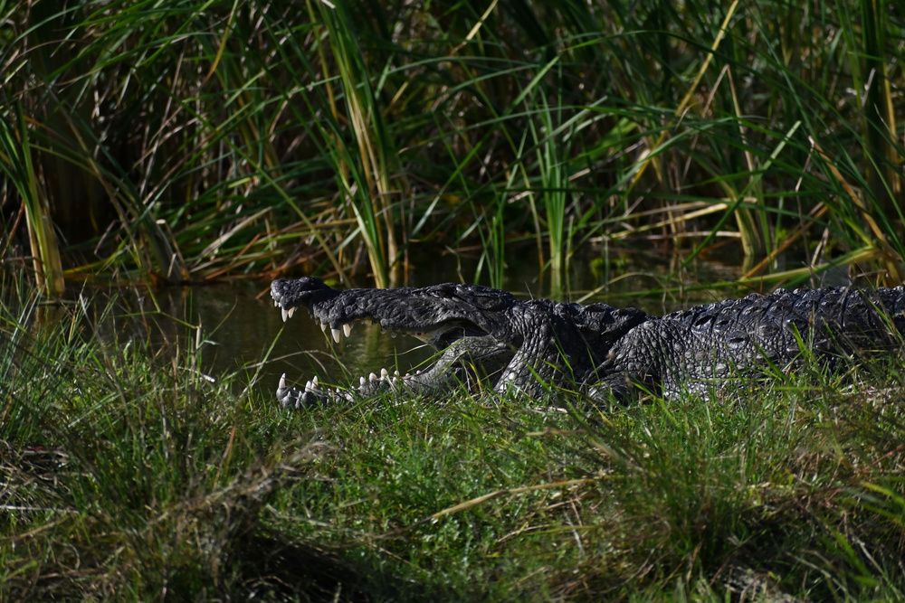 Photograph by Shirley irantha Sooriyaarachchi