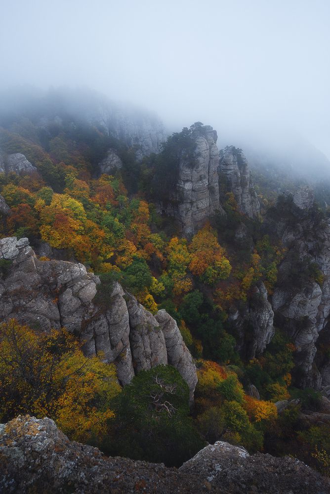 Photograph by Oleg Feofanov