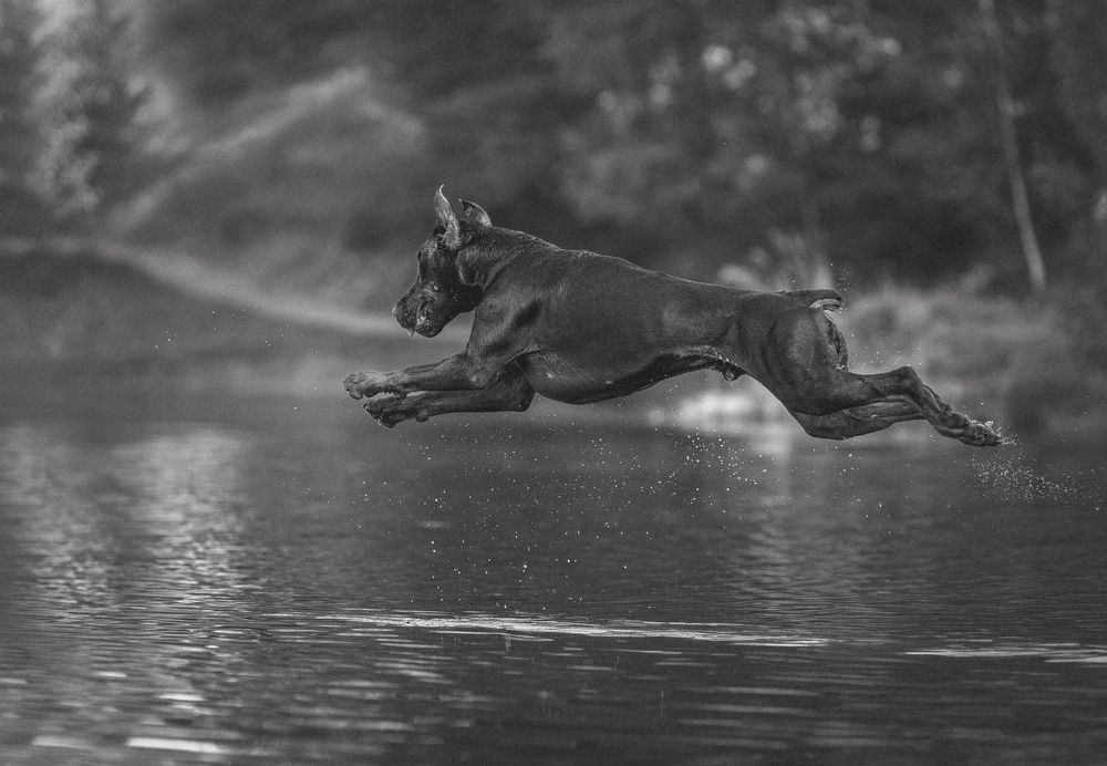 Photograph by Мария Клещенко