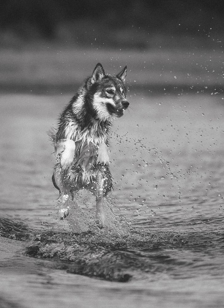 Photograph by Мария Клещенко