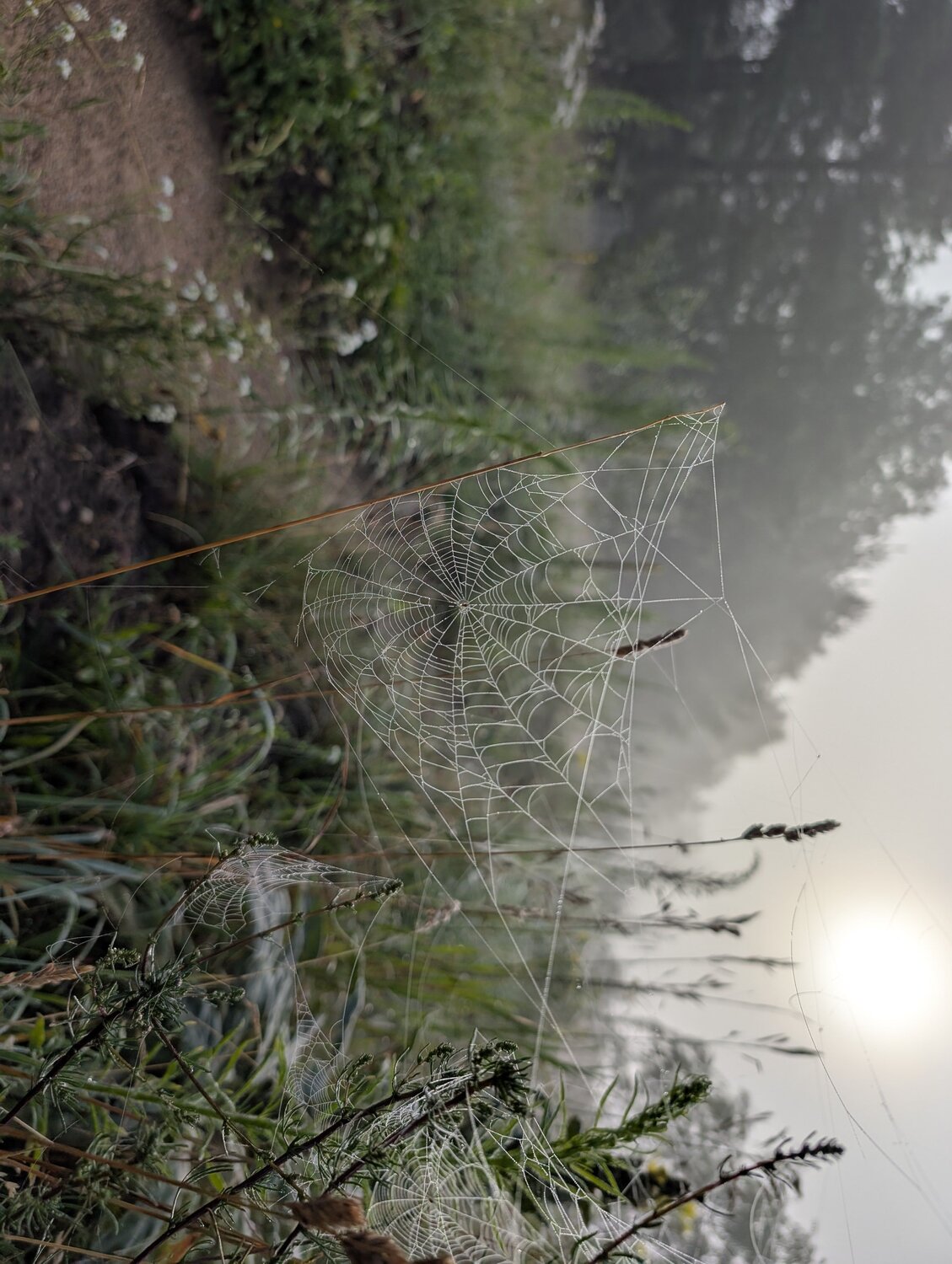 Photo #12807189
