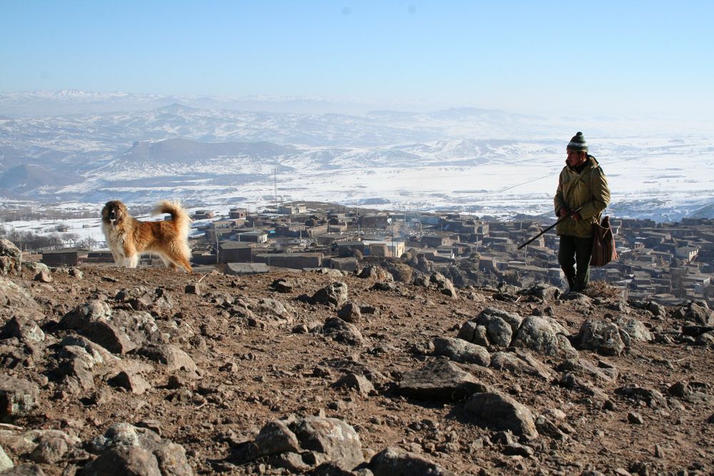 Photograph by Abdolrahman Mojarrad