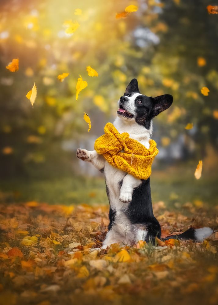 Photograph by Наталья Орел