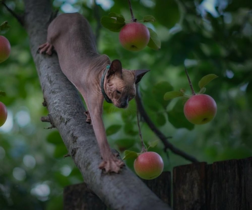 Photograph by Marina Ivanova