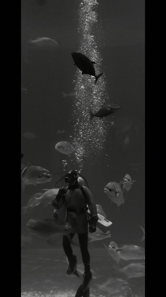 Photo #12807244