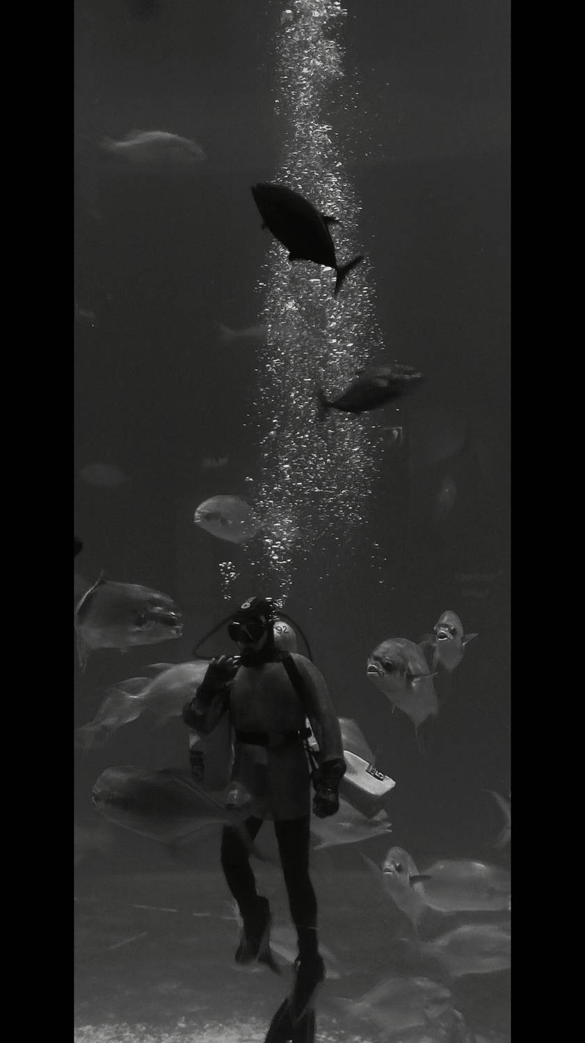 Photo #12807244