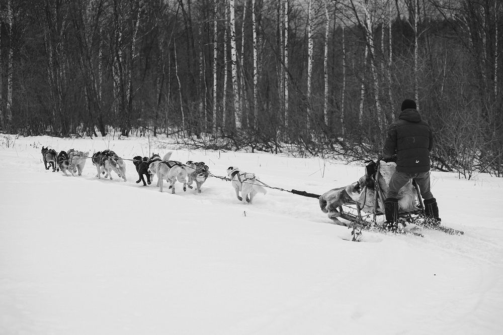 Photograph by Ivan Osipov