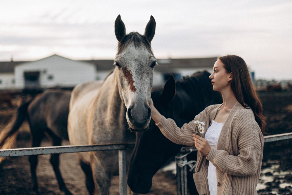 Photograph by Мария Корвин-Кучинская