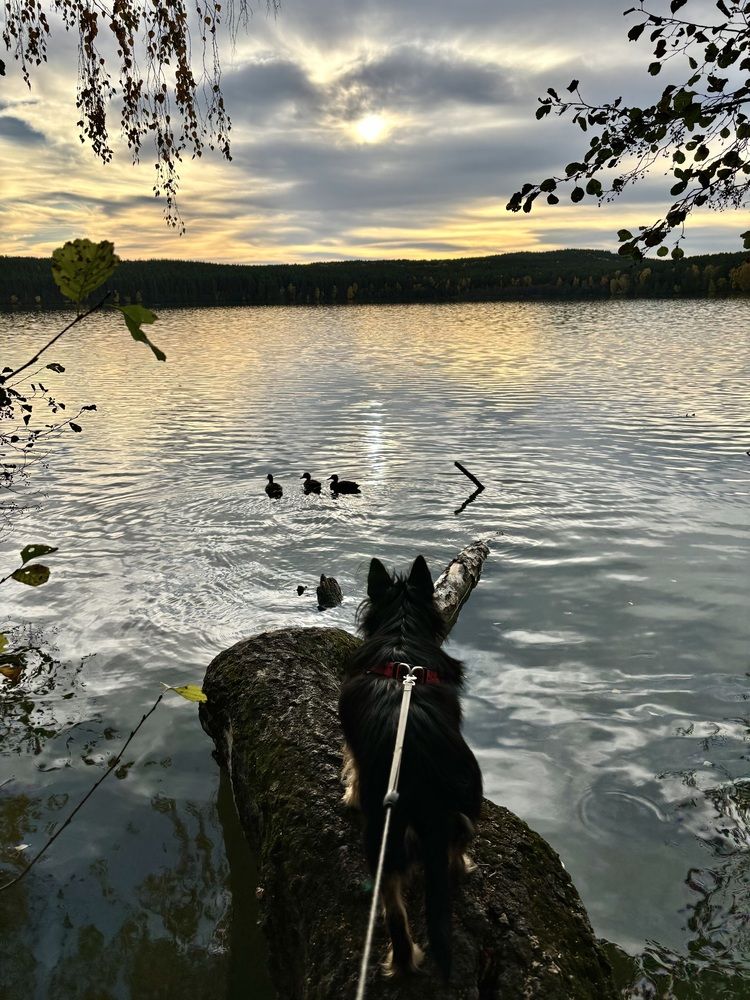 Photograph by Екатерина