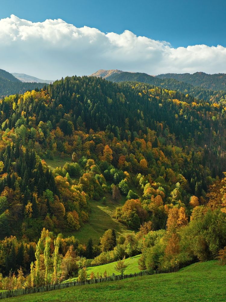 Photograph by Виктор Гурков