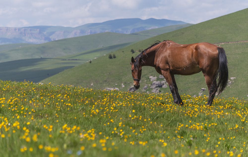 Photograph by Чухров Дмитрий