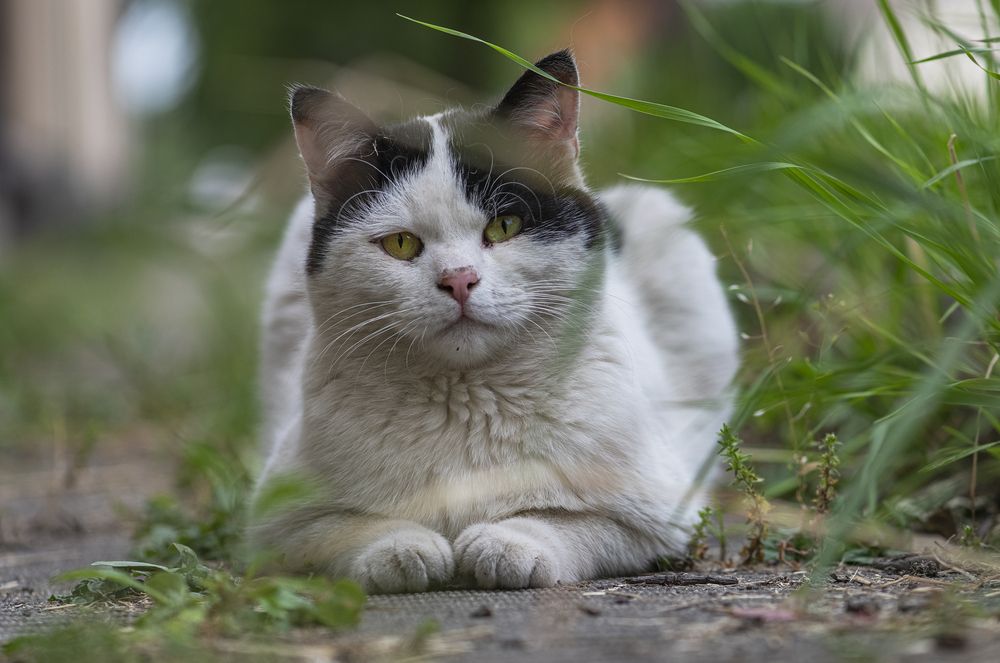 Photograph by Чухров Дмитрий