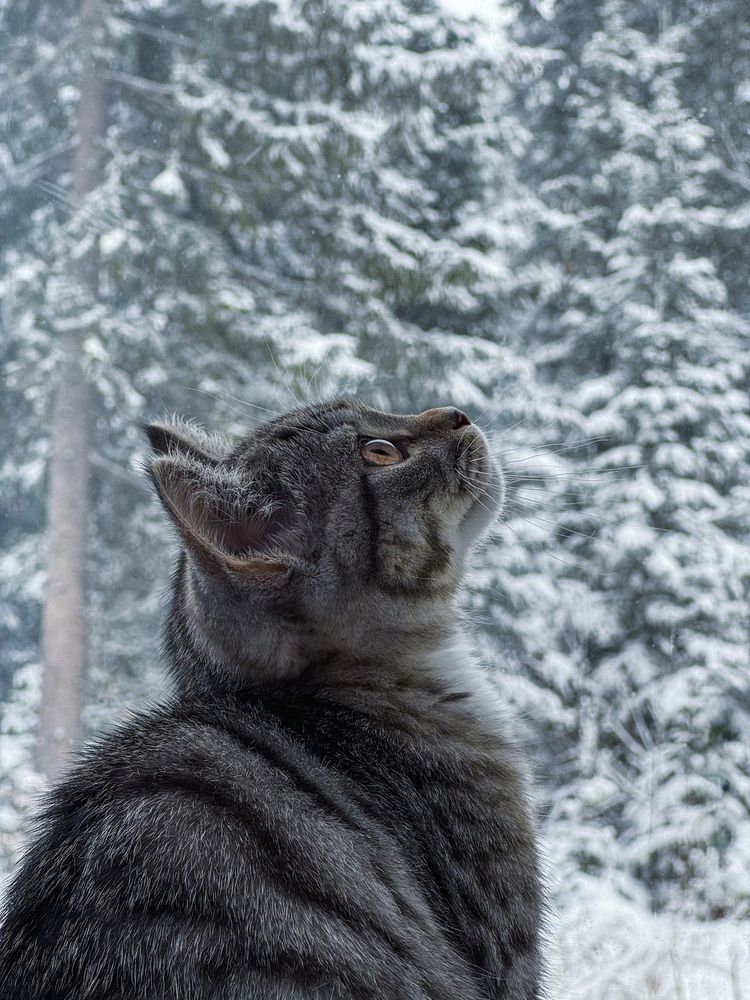 Photograph by Ольга Имамкулиева