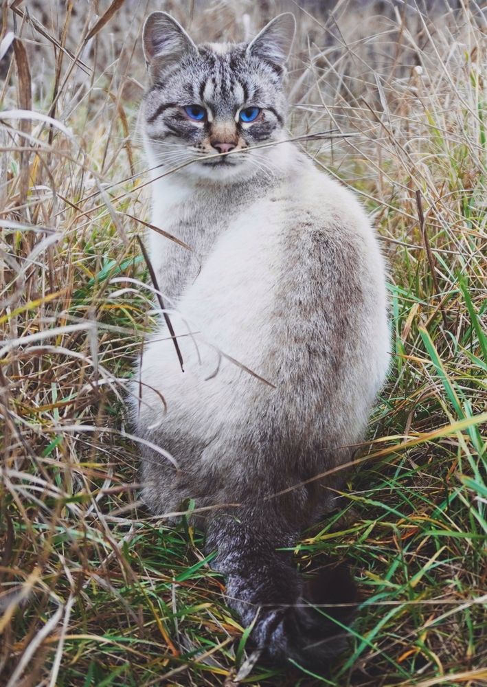 Photograph by Елена