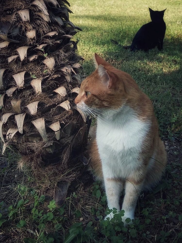 Фотография автора Ольга Кунакова