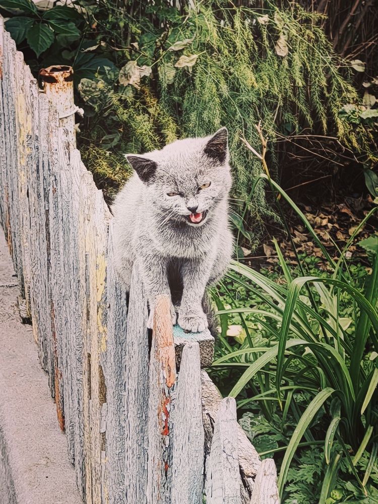 Photograph by Арина Черникова