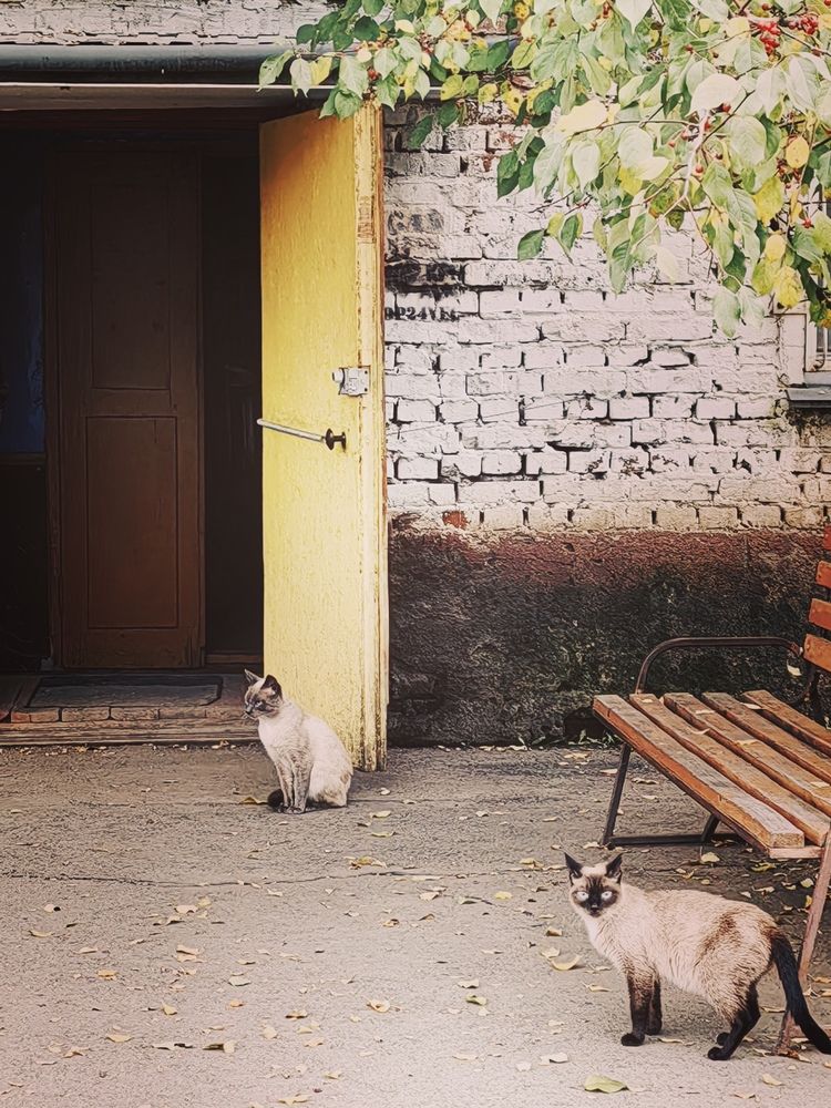 Photograph by Арина Черникова