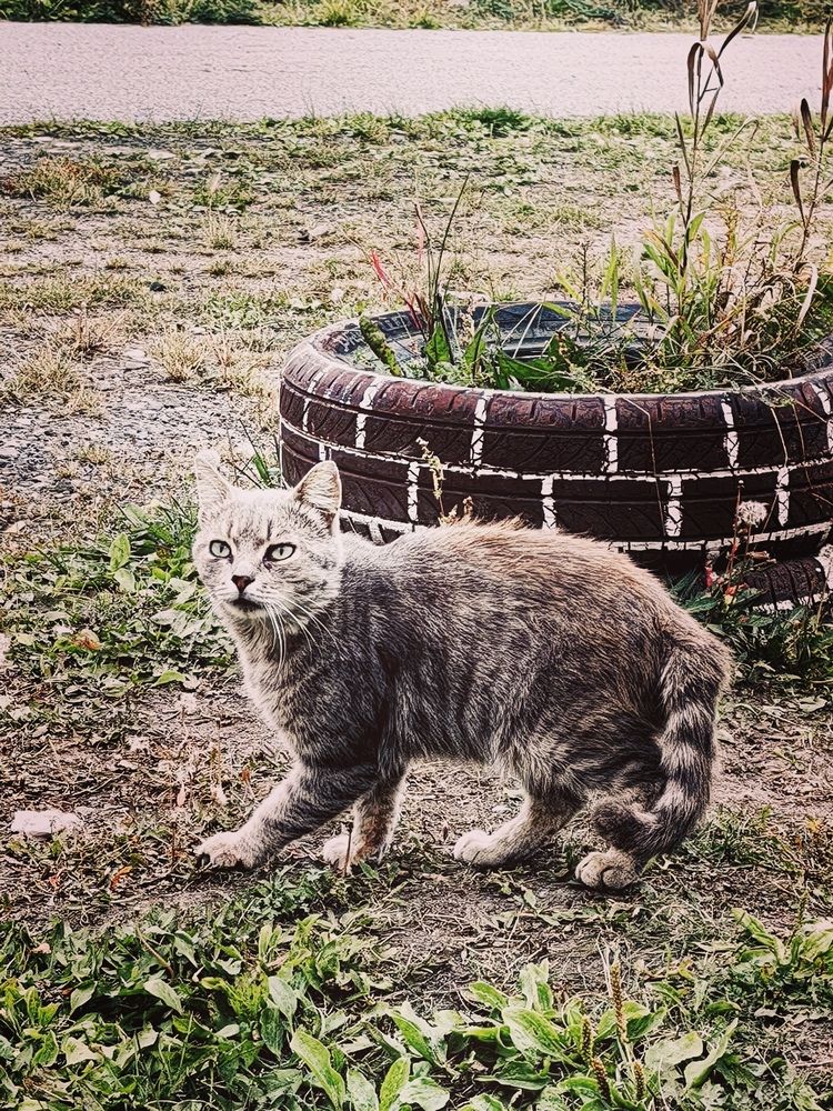 Photograph by Арина Черникова