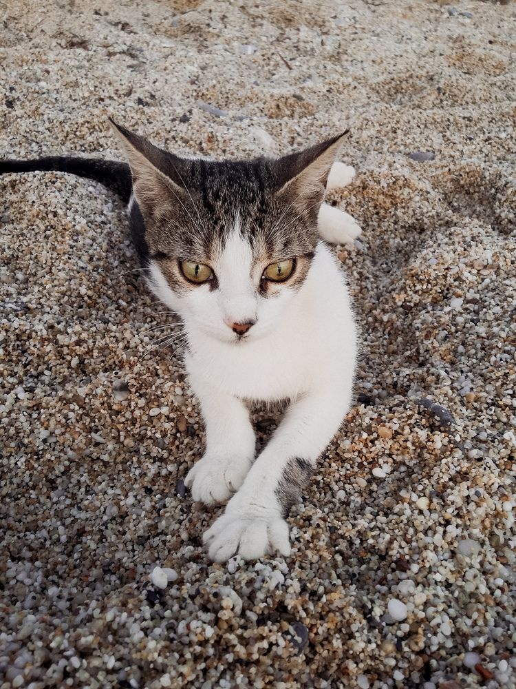 Фотография автора Ольга Кунакова