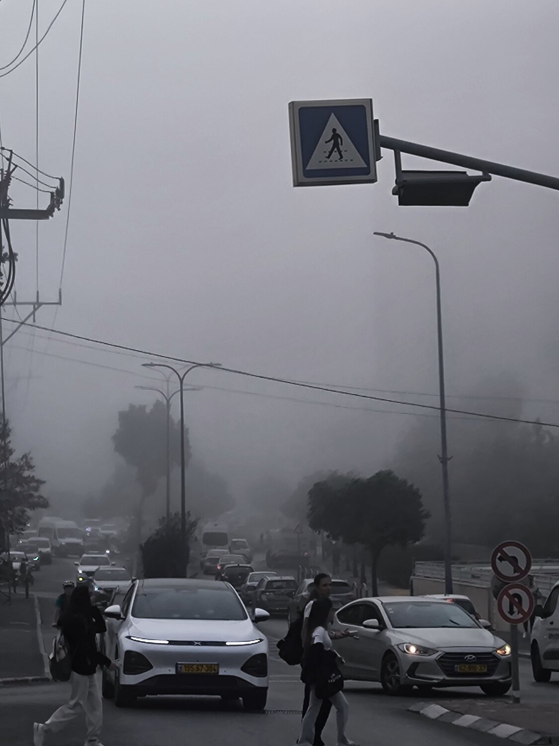 Photo #12807417