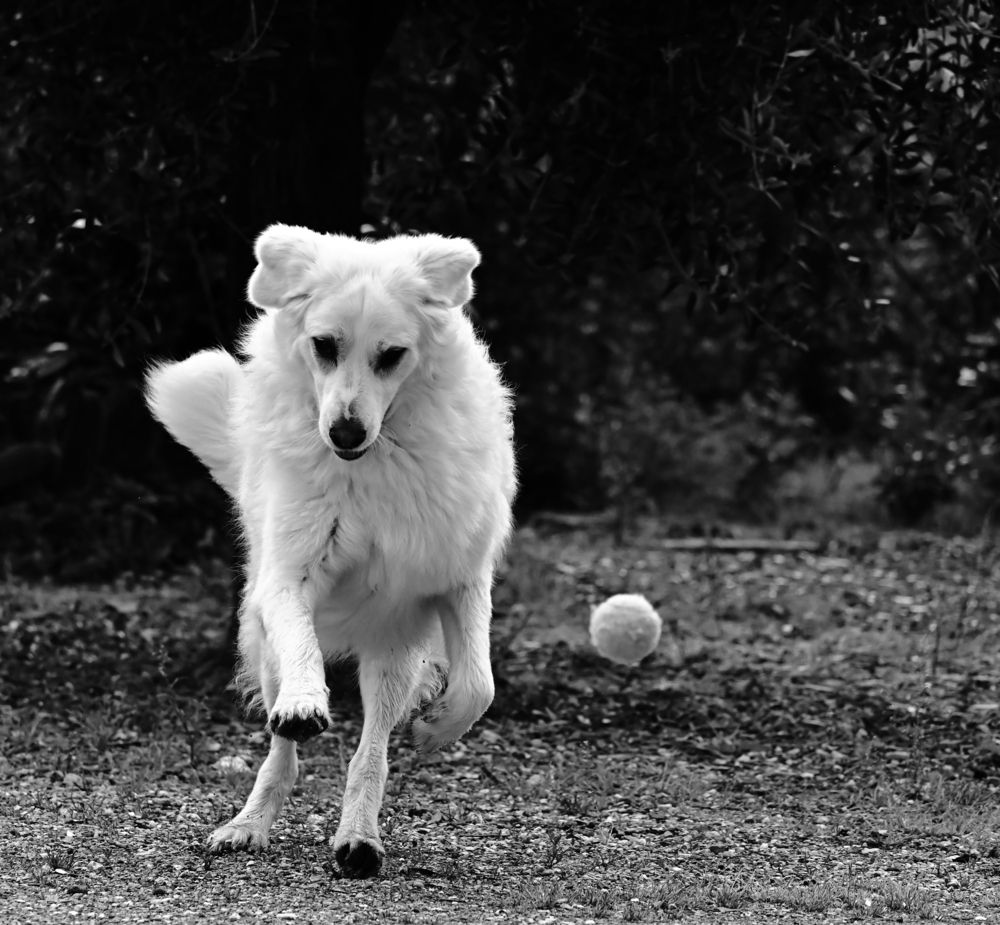 Photograph by Светлана Ивановна