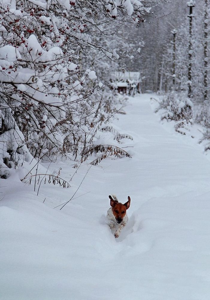 Photograph by Liliya Rodionova