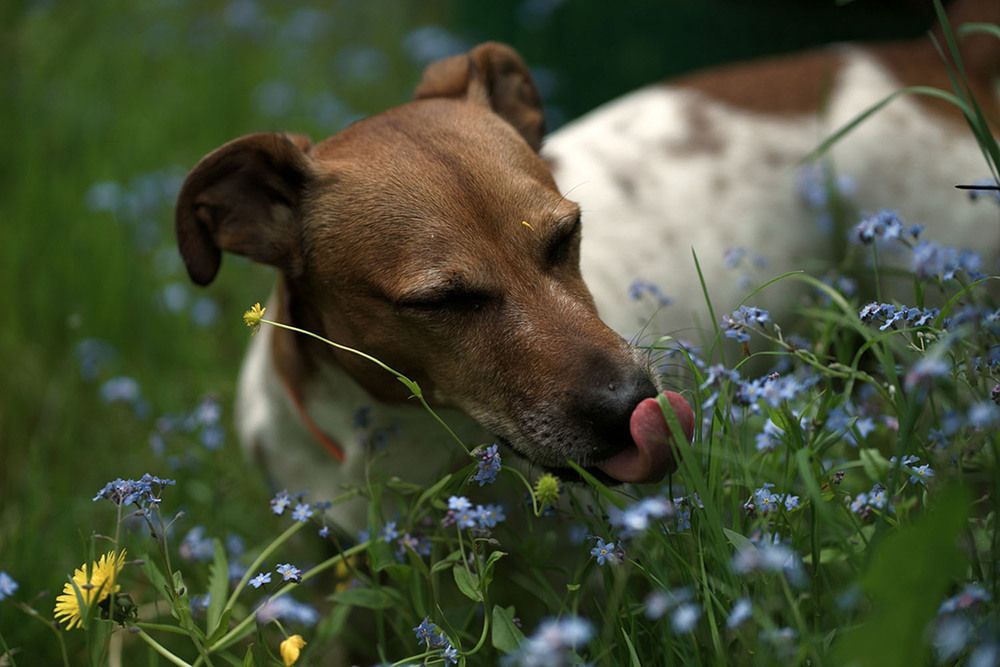 Photograph by Liliya Rodionova