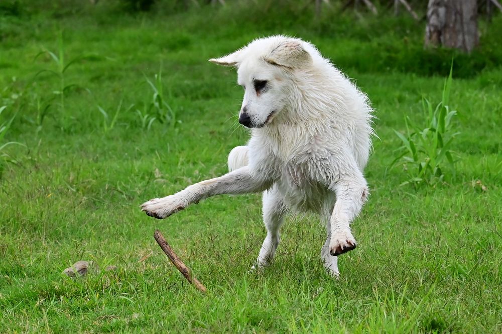 Photograph by Светлана Ивановна