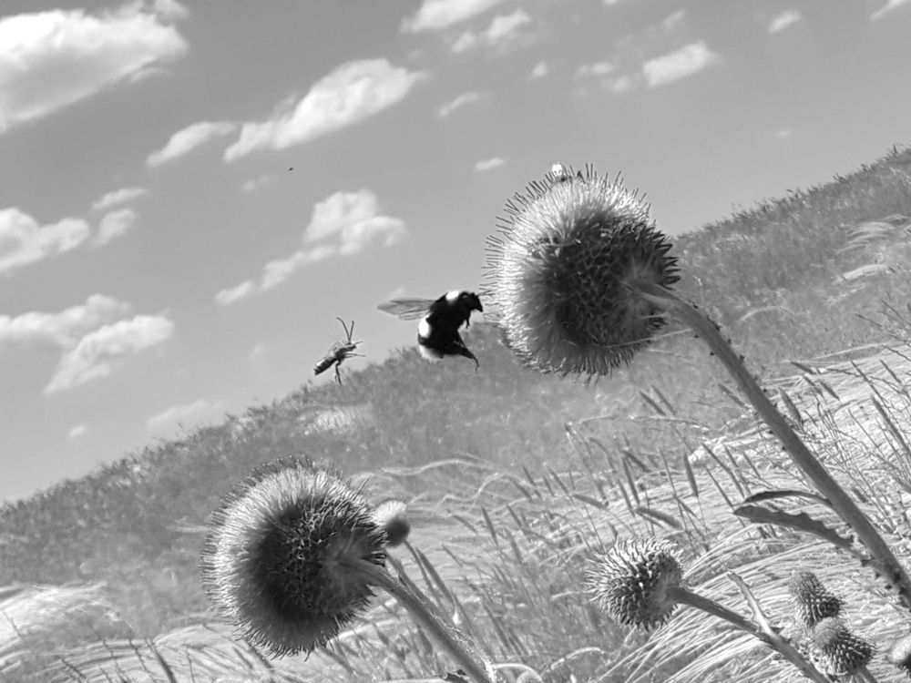 Фотография автора Валентин Науменков