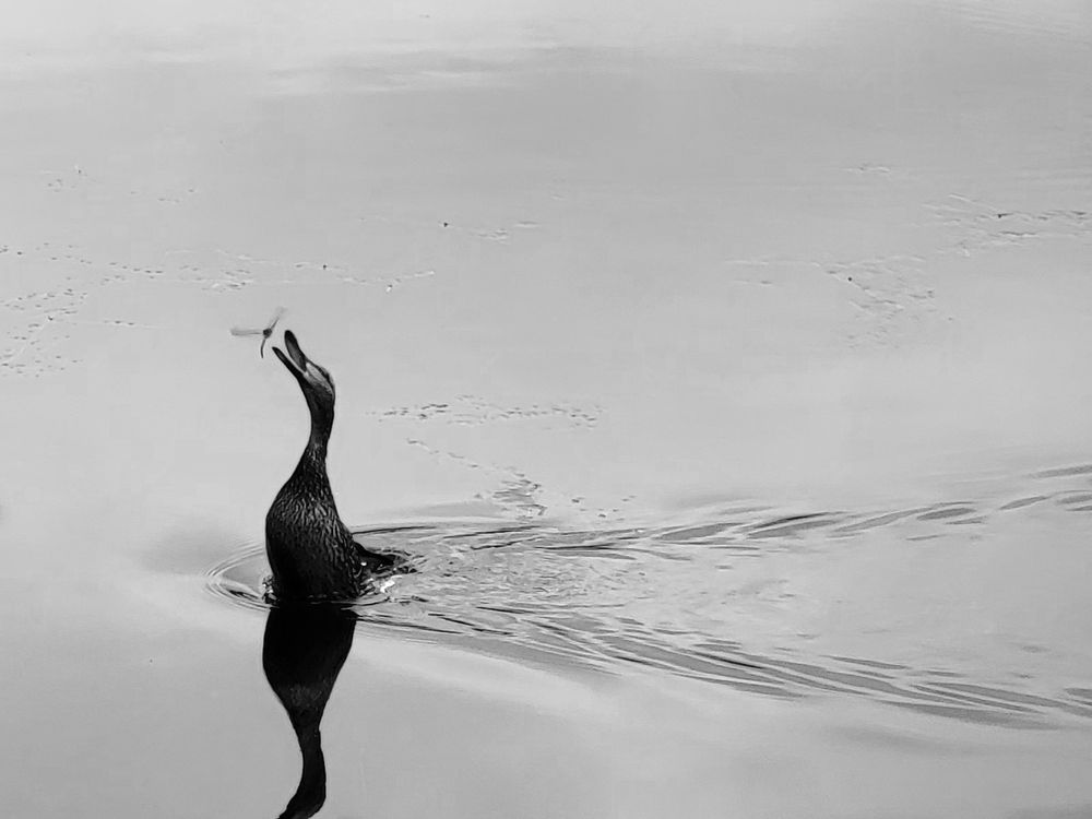 Фотография автора Валентин Науменков