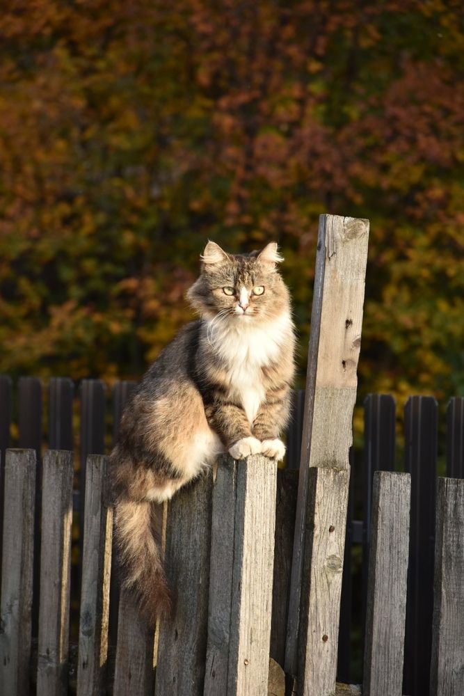 Photograph by Элеонора Безженова