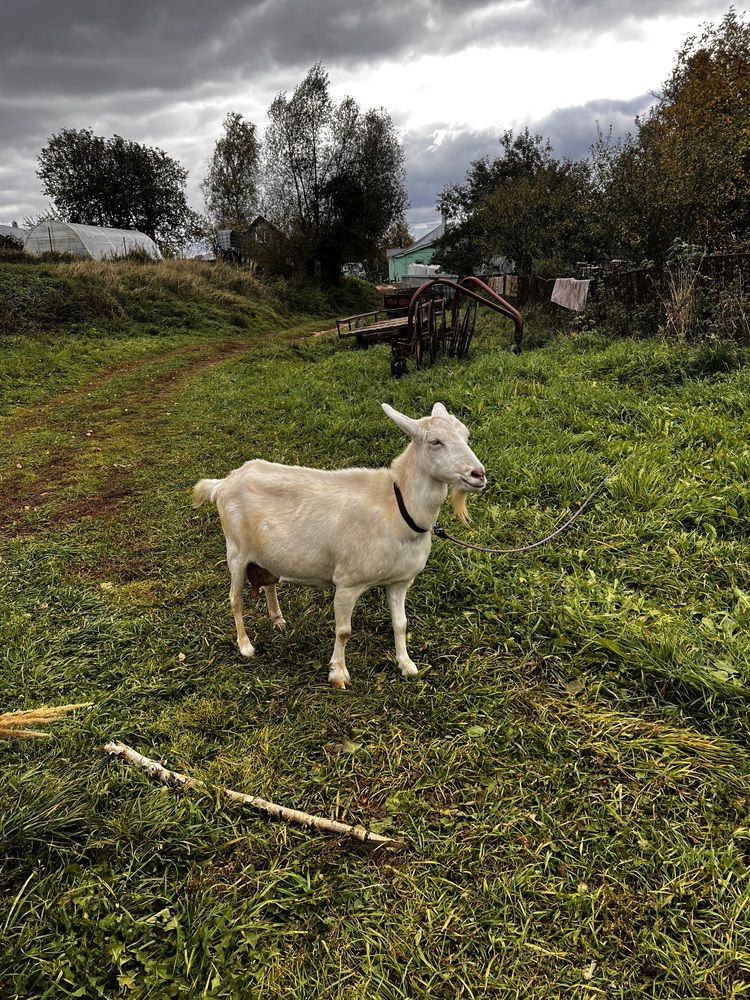 Фотография автора Мария