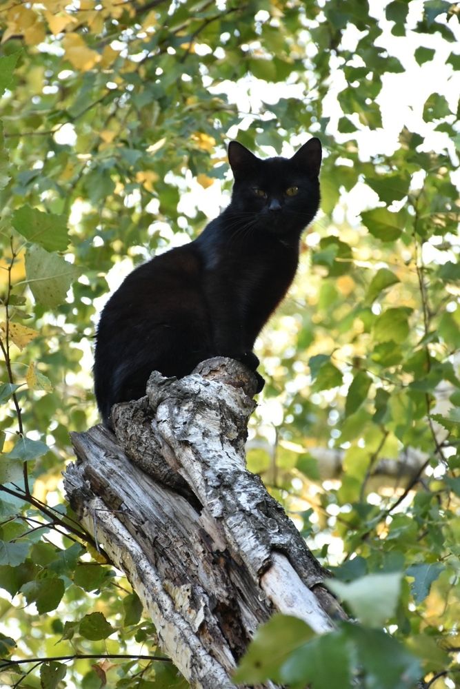 Photograph by Элеонора Безженова