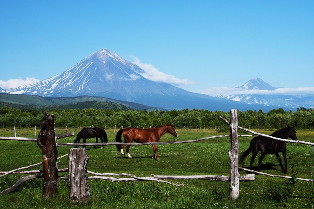 Photograph by Алексей Новиков