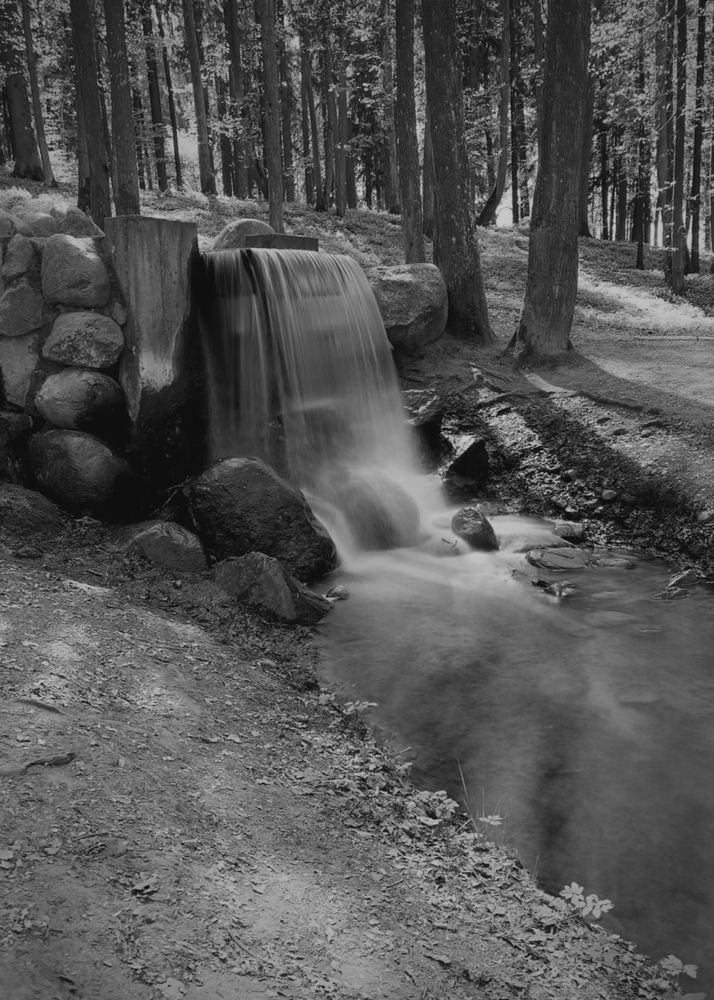 Photograph by Надежда Смирнова