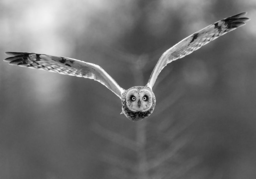 Photograph by Viktoriya Kim