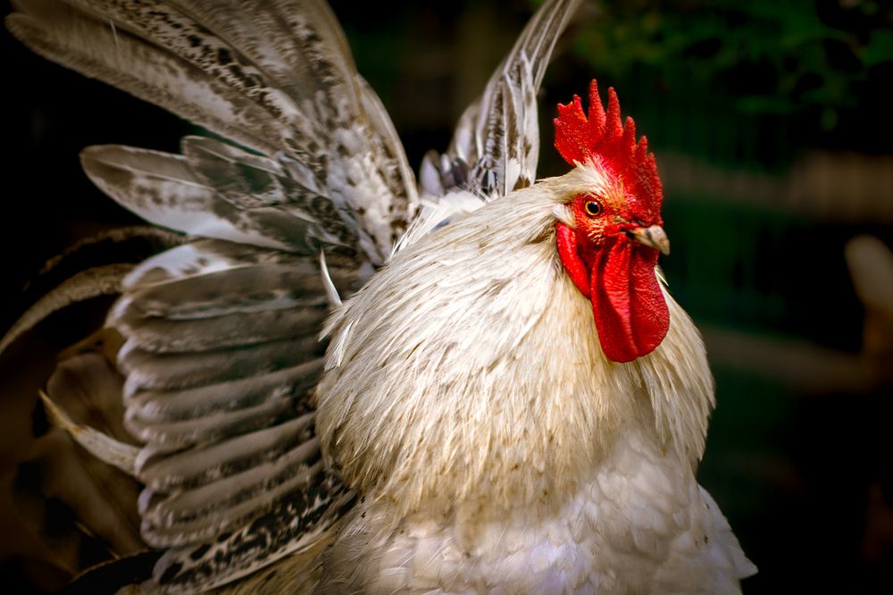 Photograph by Sergey Grin