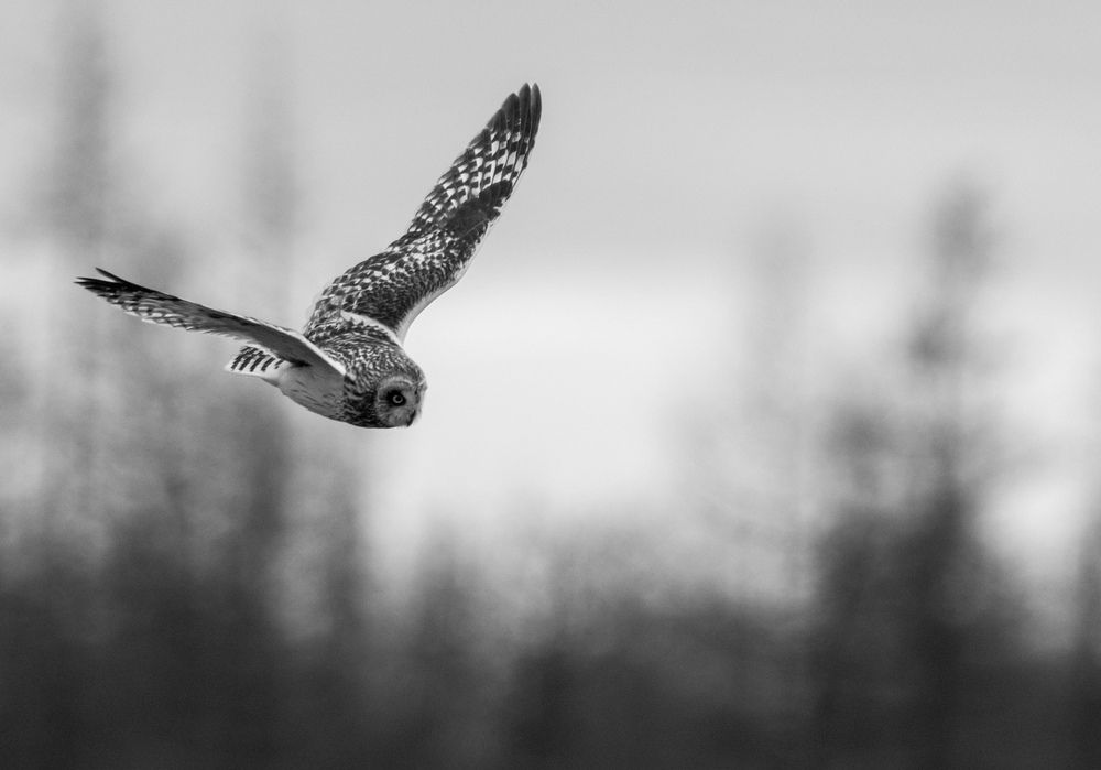 Photograph by Viktoriya Kim